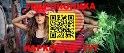 соль ск Пушкино
