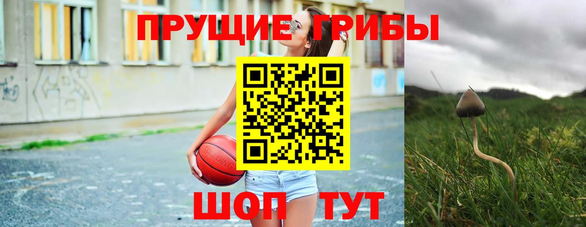 Псилоцибиновые грибы мухоморы  даркнет сайт  Приморско-Ахтарск  Вход с VPN 